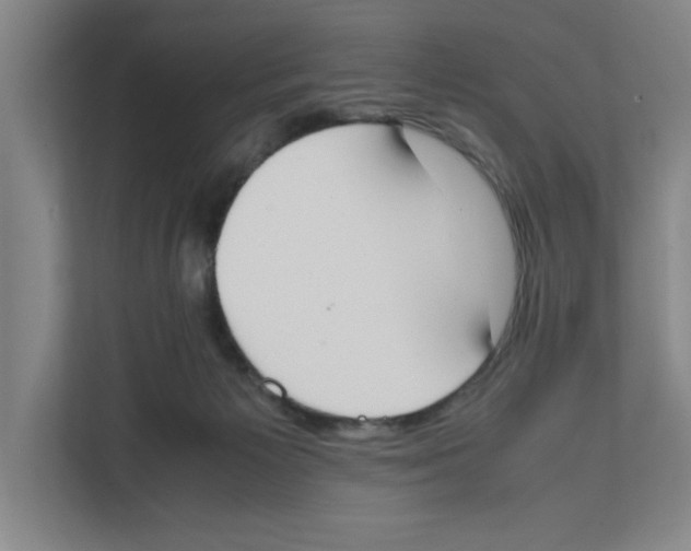 X0000111450125200908101042