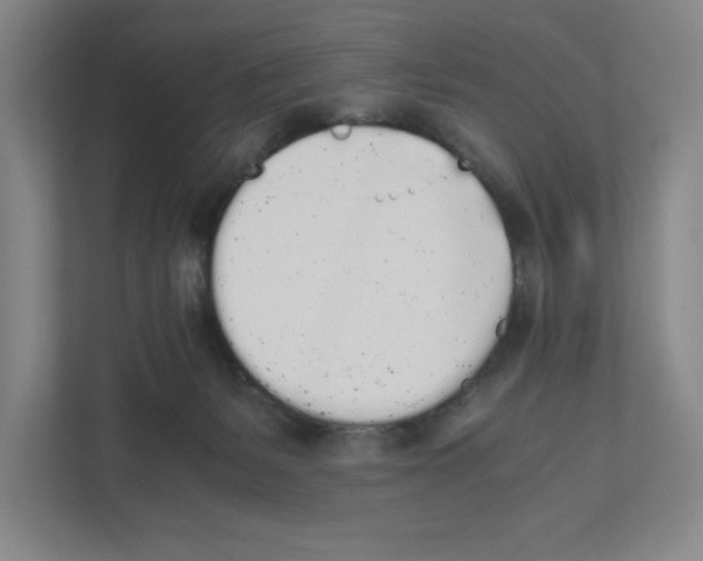 X0000111450127200908101042