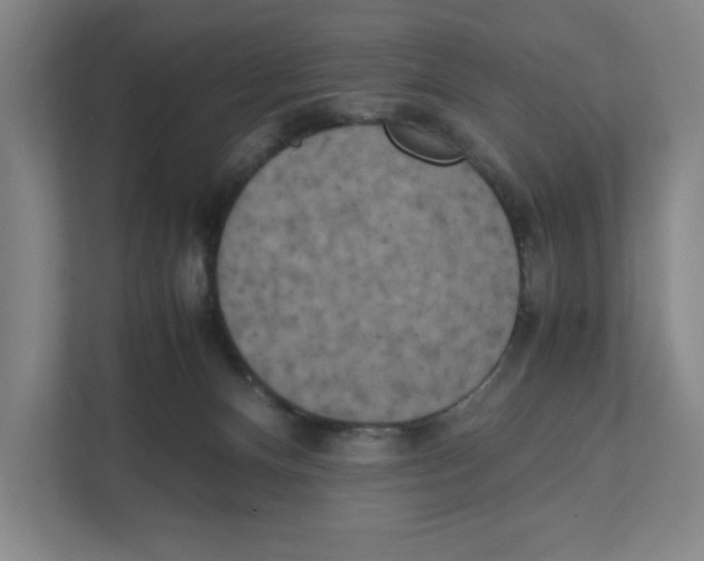 X0000111450128200908101042