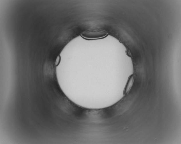 X0000111450129200908101042