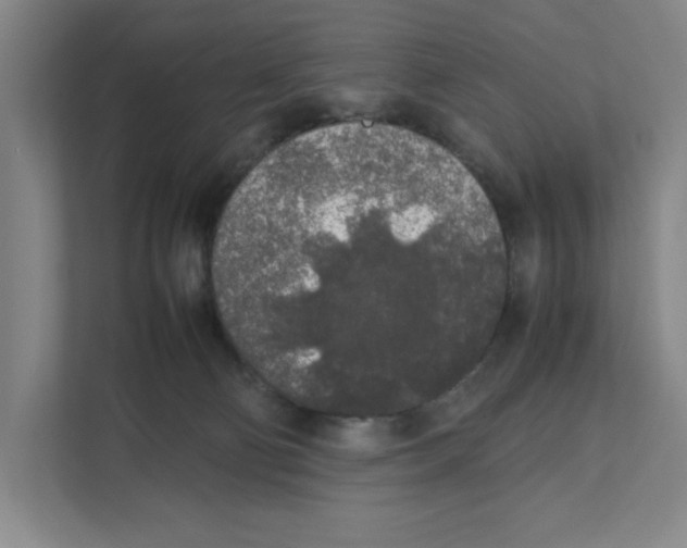 X0000111450130200908101042