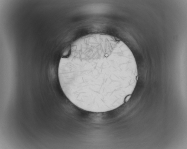 X0000111450131200908101042