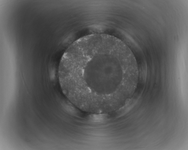X0000111450134200908101042