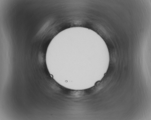 X0000111450135200908101042