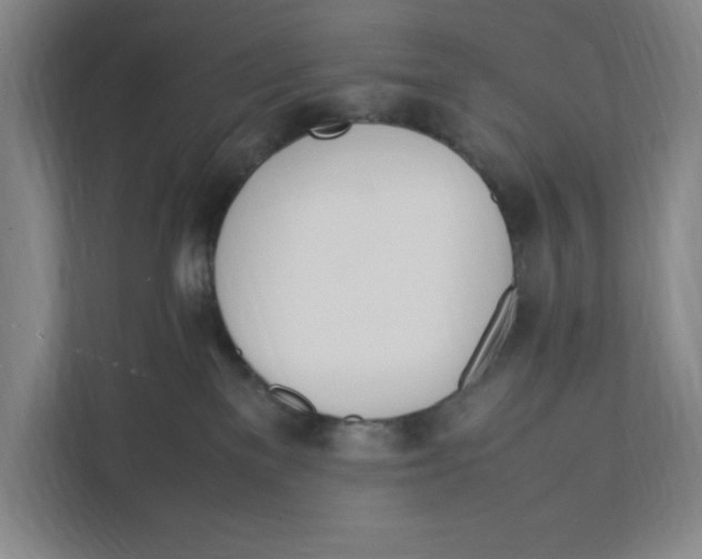 X0000111450137200908101042