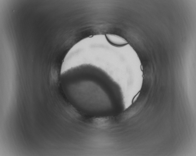 X0000111450139200908101042