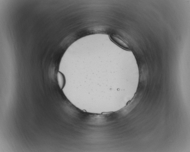 X0000111450140200908101042
