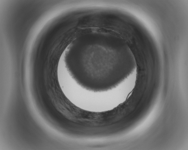 X0000111450143200908101042