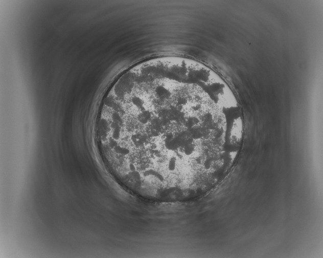 X0000111450145200908101041