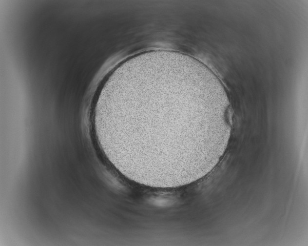 X0000111450151200908101041