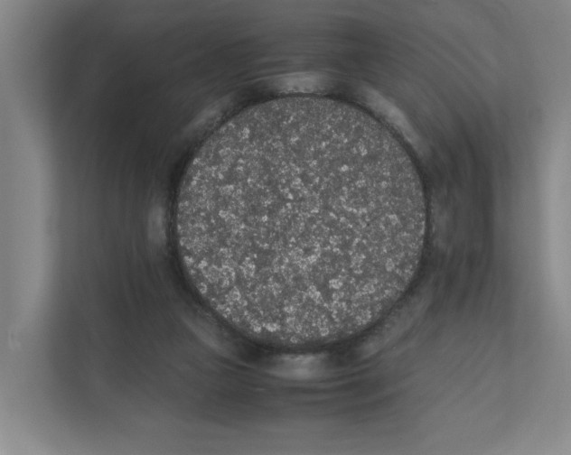 X0000111450161200908101041