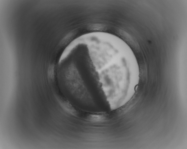 X0000111450167200908101041