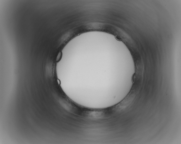 X0000111450168200908101041