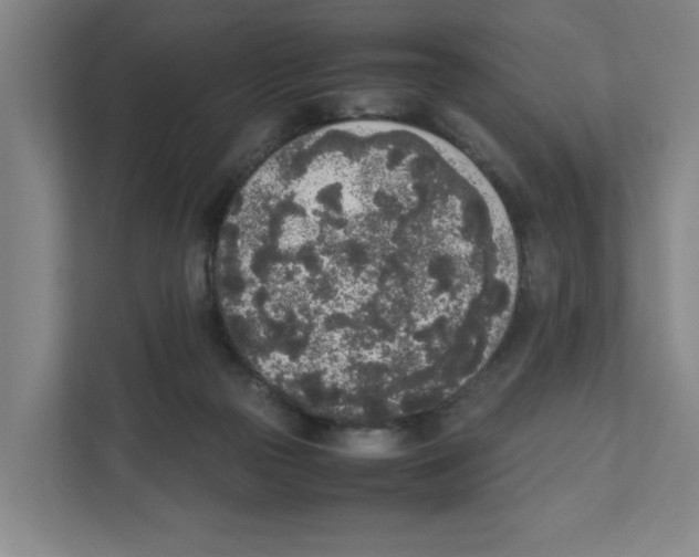 X0000111450169200908101042