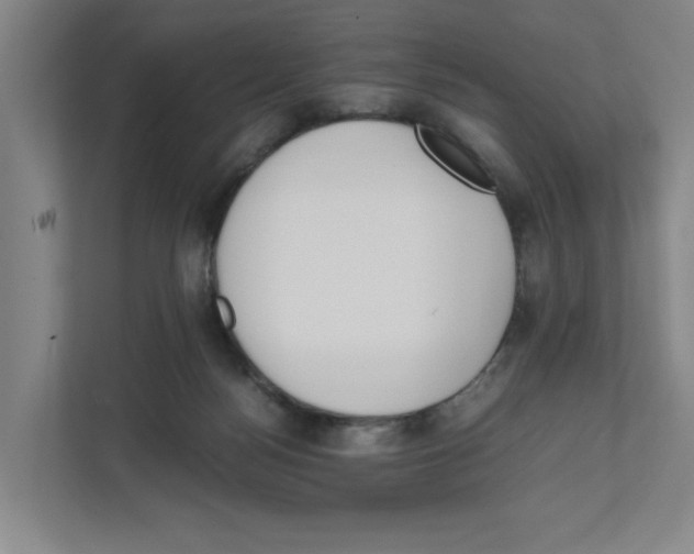 X0000111450172200908101042