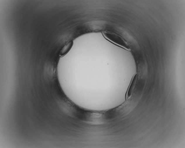 X0000111450176200908101042