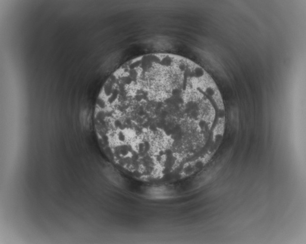 X0000111450177200908101042