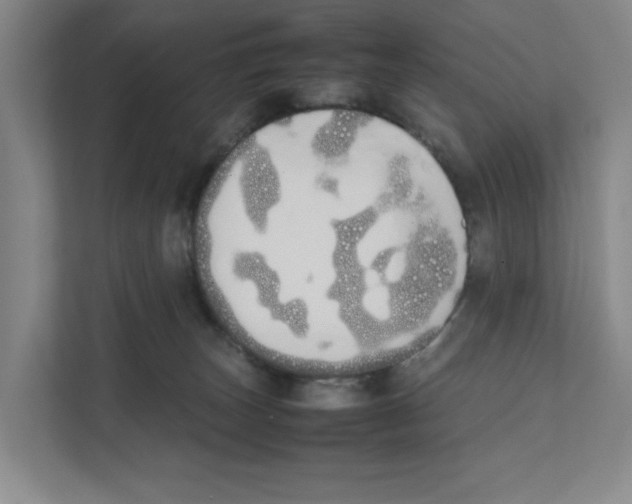 X0000111450179200908101042