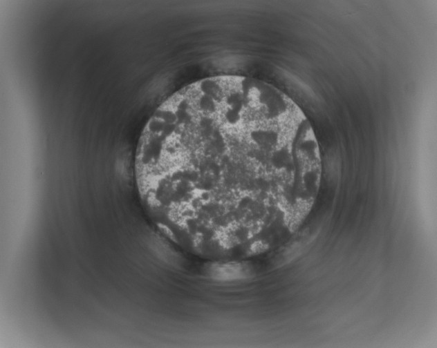 X0000111450181200908101042