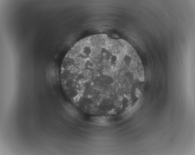 X0000111450182200908101042