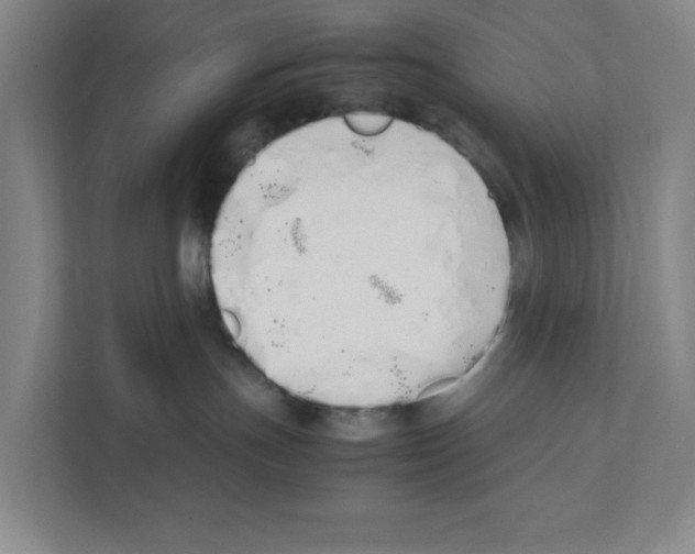X0000111450191200908101042