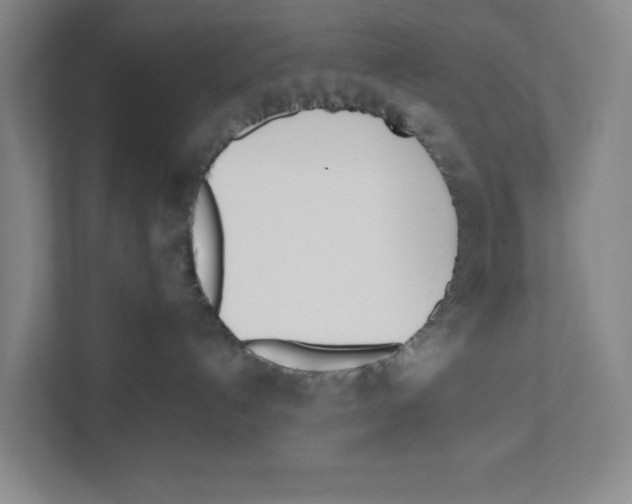 X0000111450192200908101042