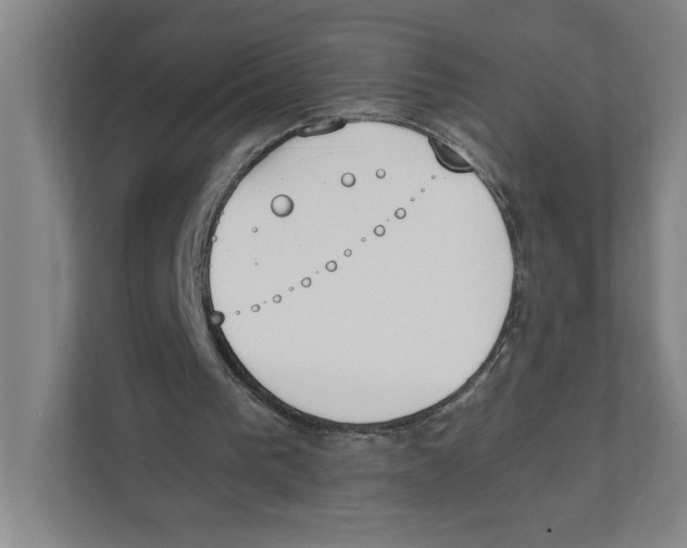 X0000111450193200908101041