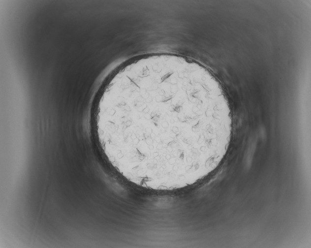 X0000111450200200908101041