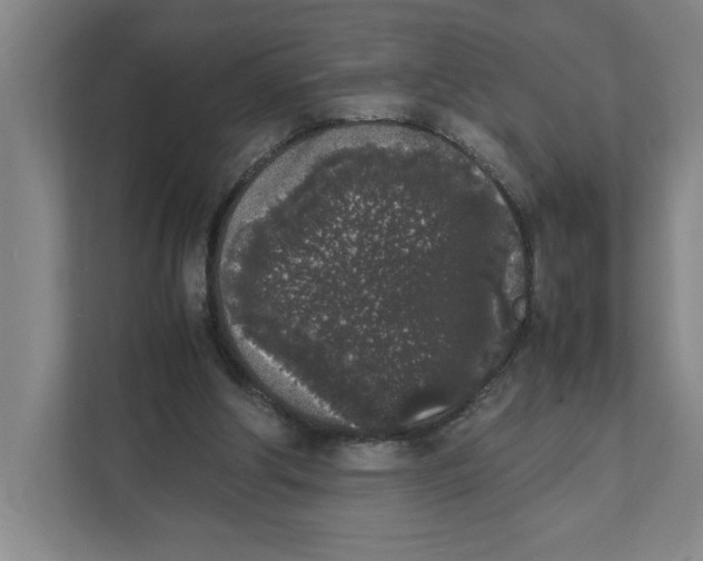 X0000111450202200908101041
