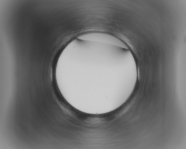 X0000111450205200908101041
