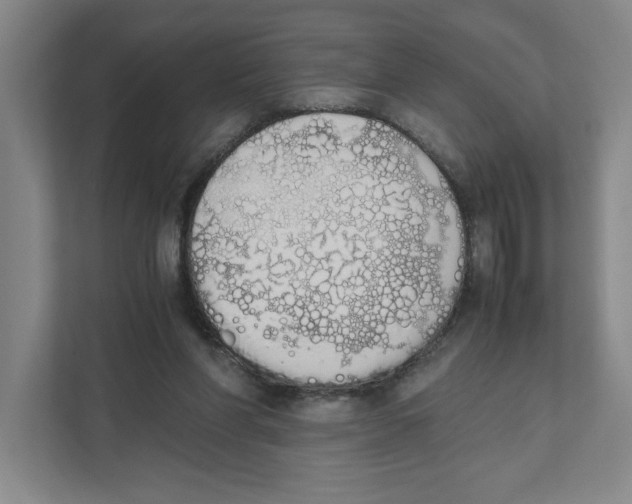 X0000111450206200908101041