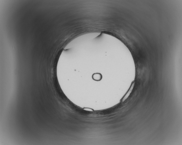 X0000111450211200908101041