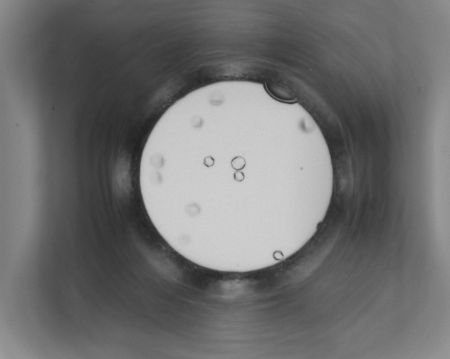 X0000111450216200908101041