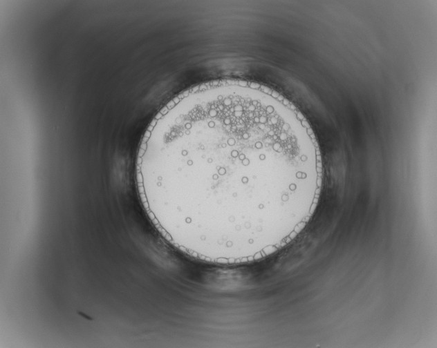 X0000111450218200908101041
