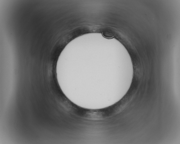 X0000111450221200908101041