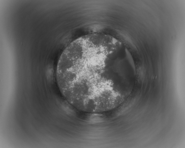 X0000111450222200908101041