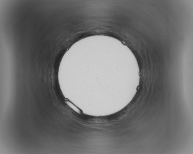 X0000111450223200908101041