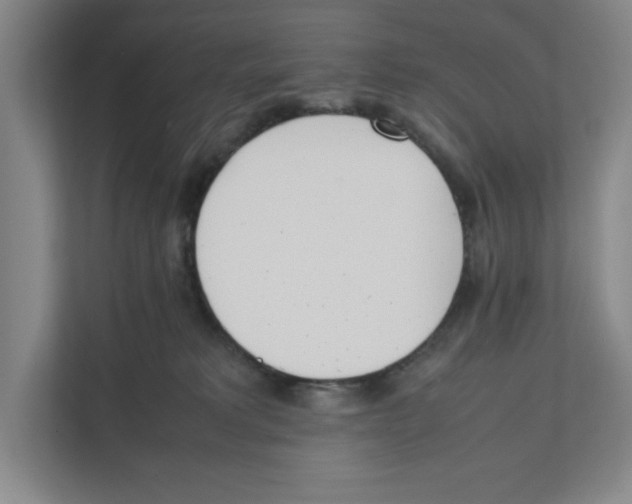 X0000111450229200908101041