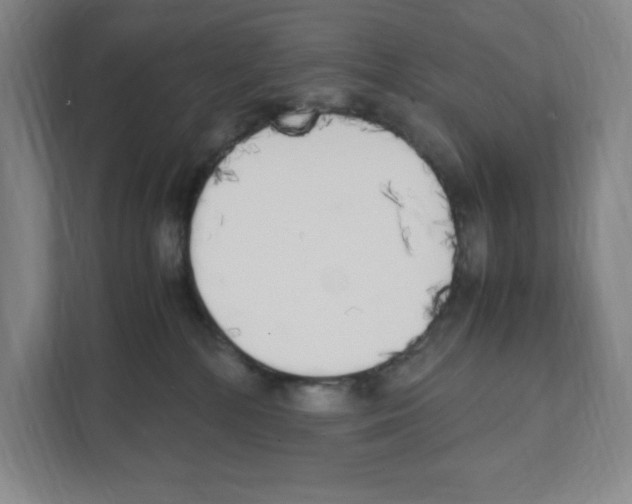 X0000111450232200908101041