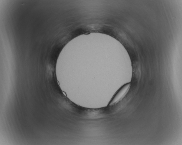 X0000111450235200908101041