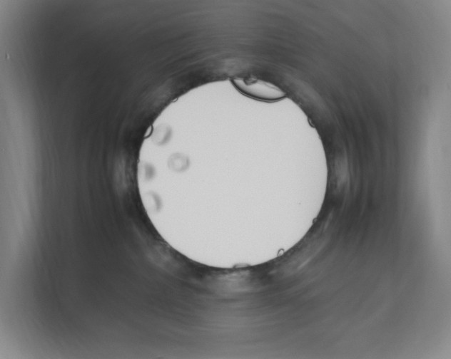 X0000111450236200908101041
