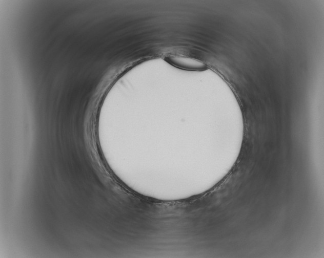 X0000111450241200908101040
