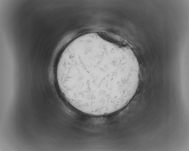 X0000111450245200908101040