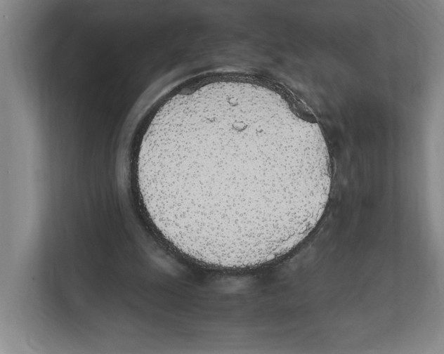 X0000111450247200908101040