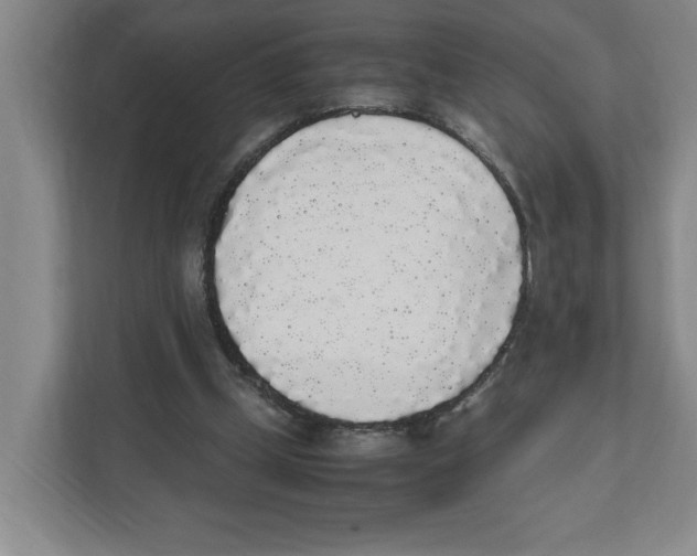 X0000111450249200908101040