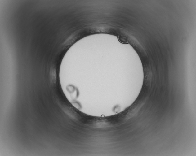 X0000111450262200908101040