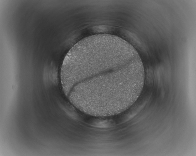 X0000111450267200908101040