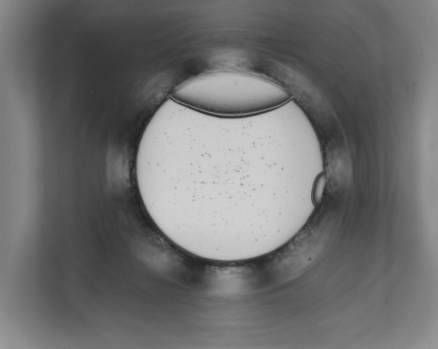 X0000111450268200908101040