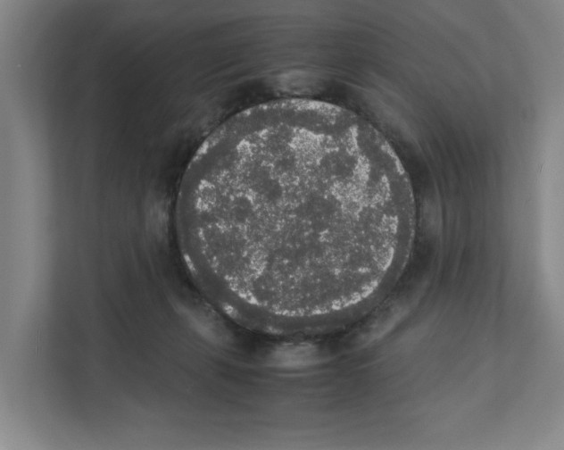 X0000111450271200908101040