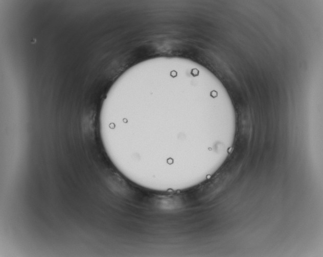 X0000111450275200908101040
